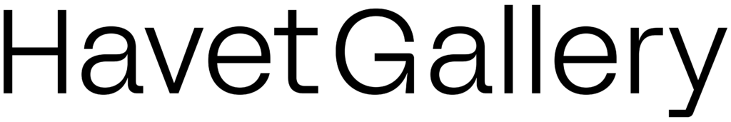 HAV_Logo_Retina